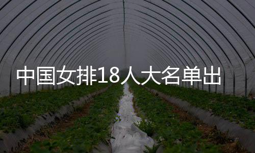 中国女排18人大名单出炉!李盈莹因伤缺阵