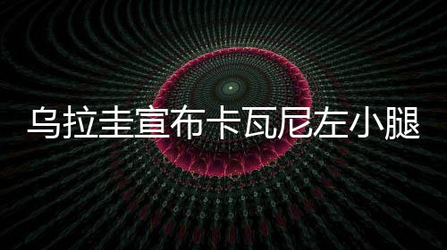 乌拉圭宣布卡瓦尼左小腿腓肠肌水肿 伤缺时间未知