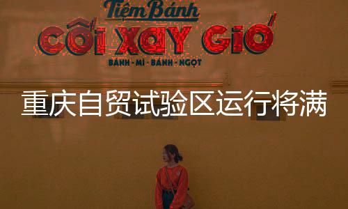 重庆自贸试验区运行将满半年，到底有何魅力？