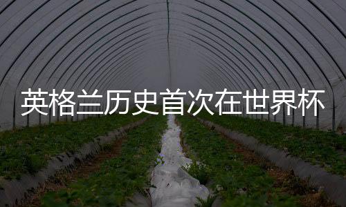 英格兰历史首次在世界杯赢得点球大战