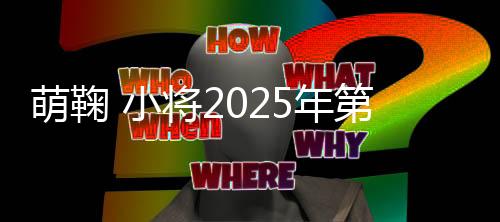 萌鞠 小将2025年第十届全国青少年足球精英挑战赛圆满落幕