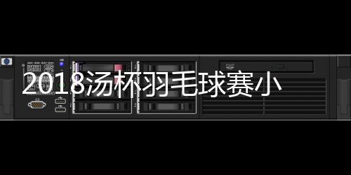 2018汤杯羽毛球赛小组赛中国队5比0法国获两连胜